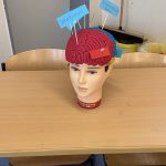 916ECF9E-A286-463A-A594-050DCF0103C9