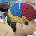 D57577A6-E519-47E7-AC0F-0BF44FEA9B59