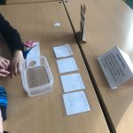 KoopKKBKOGSTonschuleMagnetKompass1