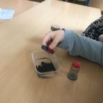 KoopKKBKOGSTonschuleMagnetTrennen2