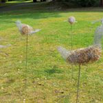 BSAH 01 Projekt Schulgarten 2