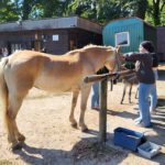 Tiergestützte Therapie_BSA21_20220822_120008
