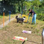 Tiergestützte Therapie_BSA21_20220822_121600